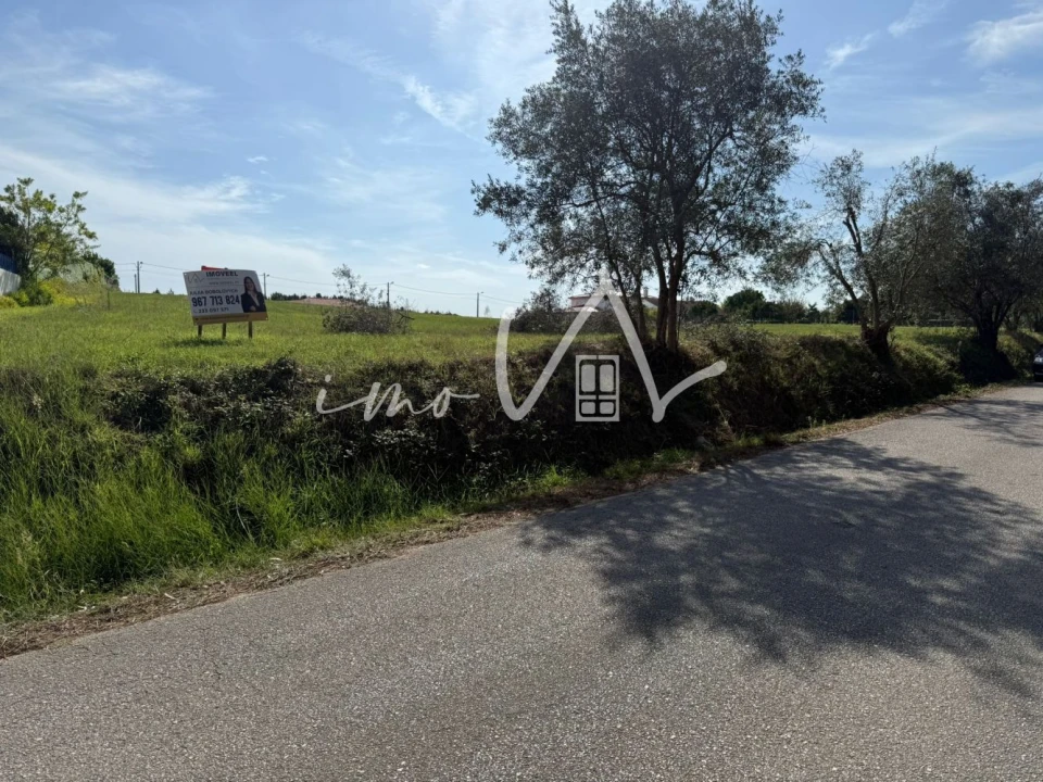 Terreno para Venda em Louriçal Foto 9