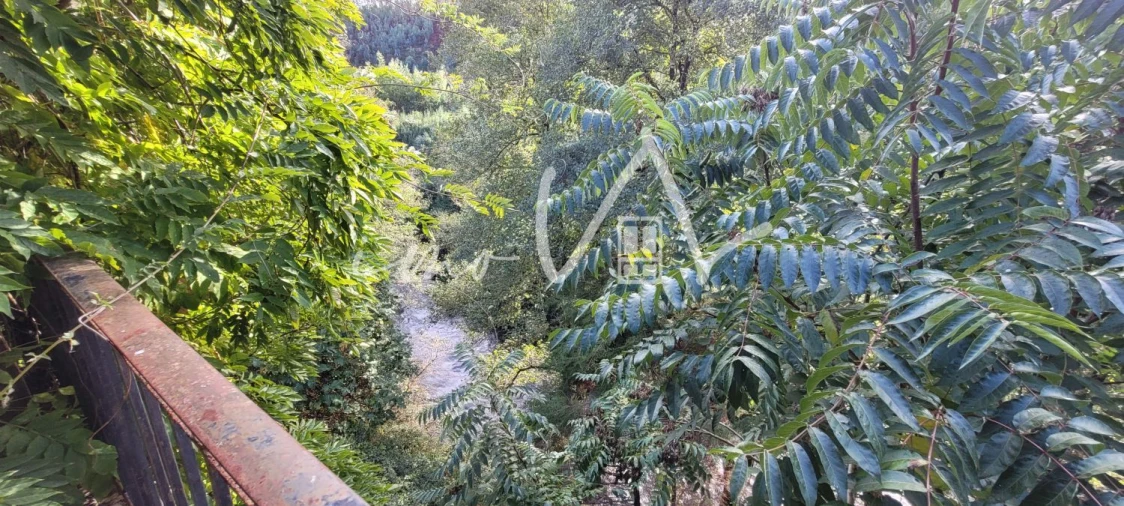 Loja para Venda em Aguda Foto 5