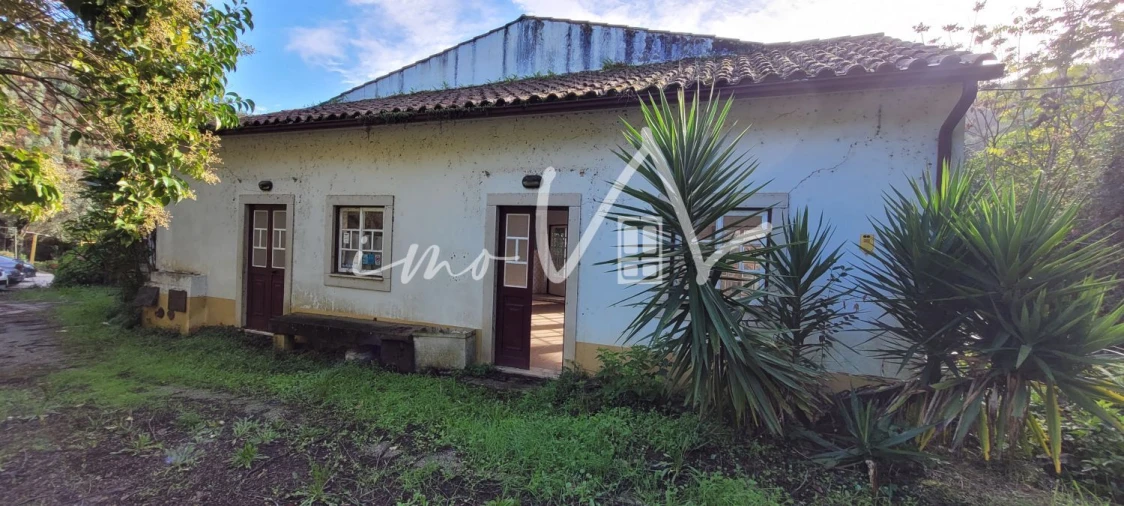 Loja para Venda em Aguda Foto 3