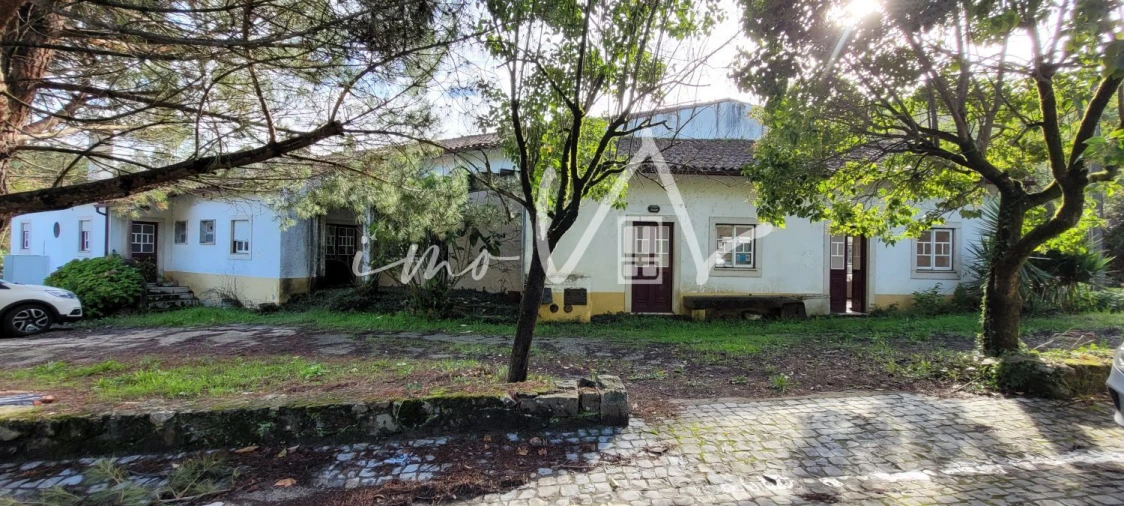 Loja para Venda em Aguda Foto 2