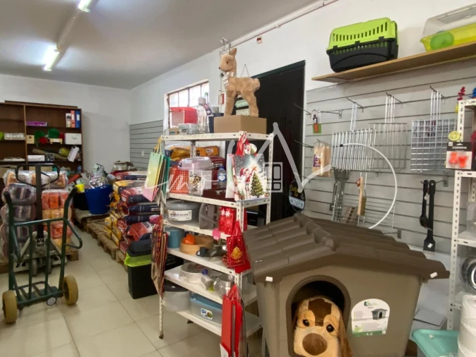 Loja para Trespasse em Souselas e Botão Foto 10