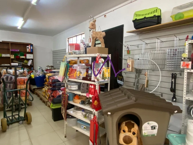 Loja para Trespasse em Souselas e Botão Foto 10