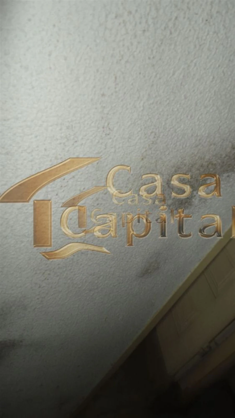 Moradia T5 para Venda em São Martinho de Antas e Paradela de Guiães Foto 64