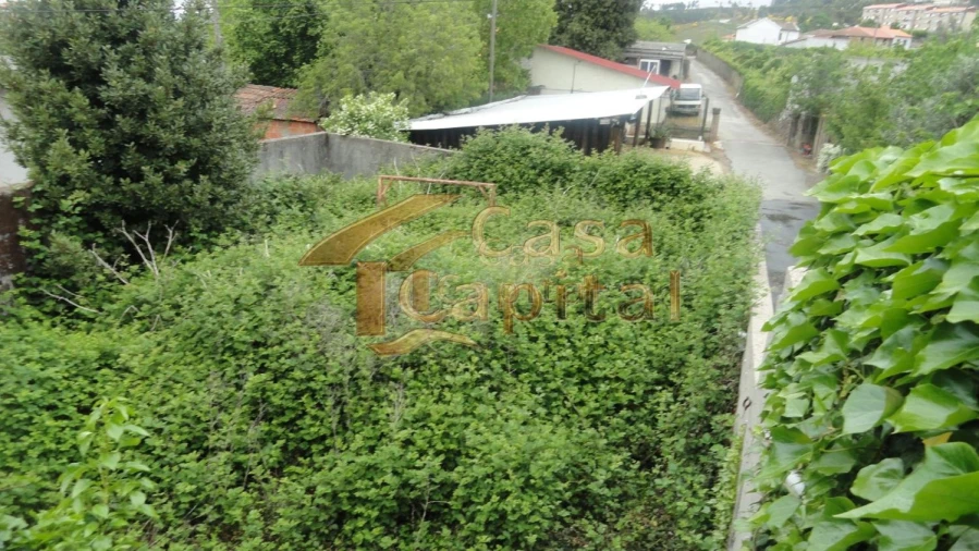 Moradia T5 para Venda em São Martinho de Antas e Paradela de Guiães Foto 19