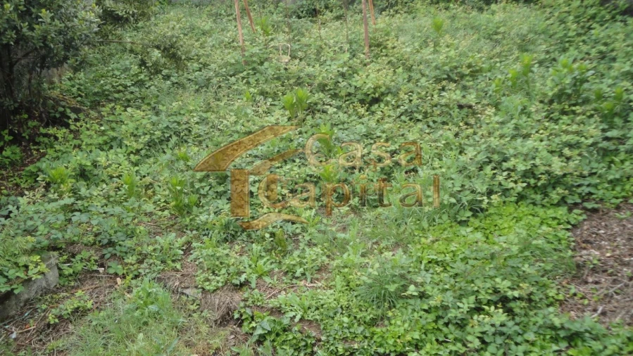 Moradia T5 para Venda em São Martinho de Antas e Paradela de Guiães Foto 26