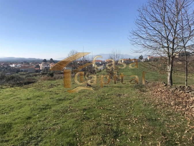 Terreno para Venda em São Martinho de Antas e Paradela de Guiães Foto 12
