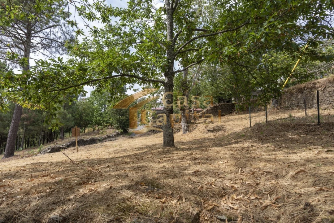 Terreno para Venda em Torgueda Foto 3