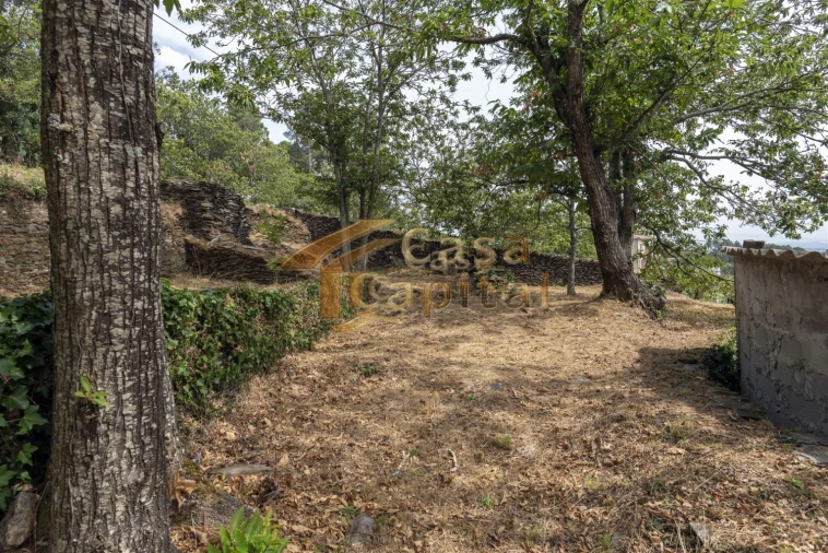 Terreno para Venda em Torgueda Foto 4