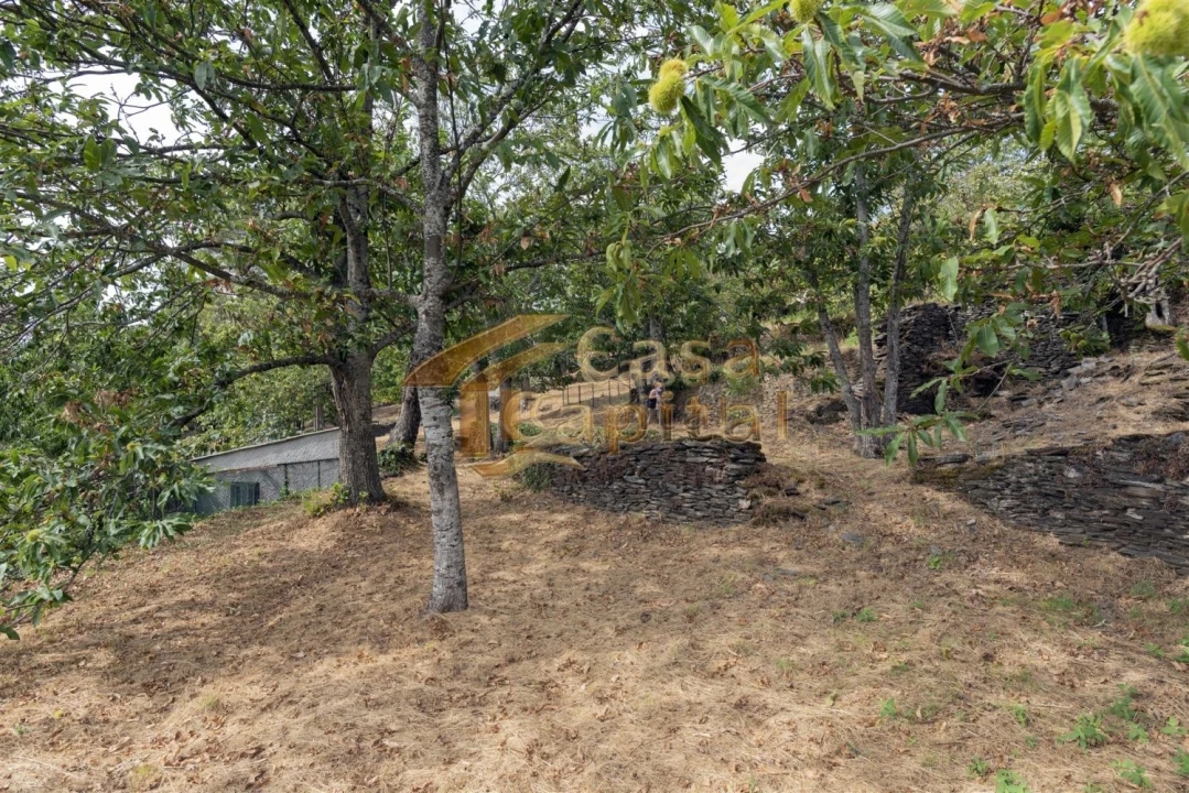 Terreno para Venda em Torgueda Foto 5