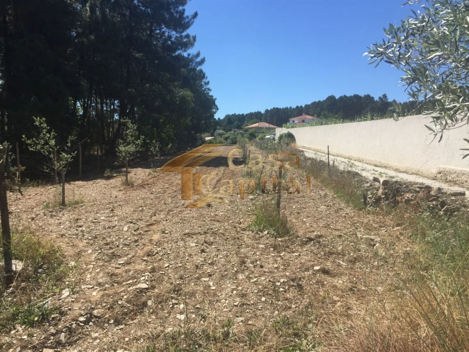 Terreno para Venda em Paços Foto 3