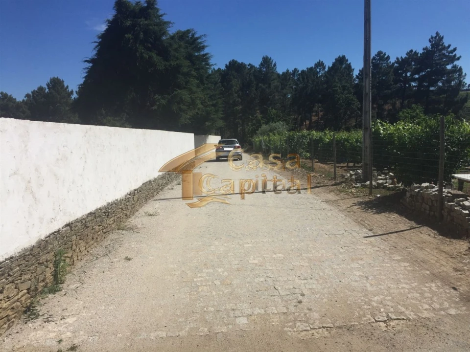 Terreno para Venda em Paços Foto 6