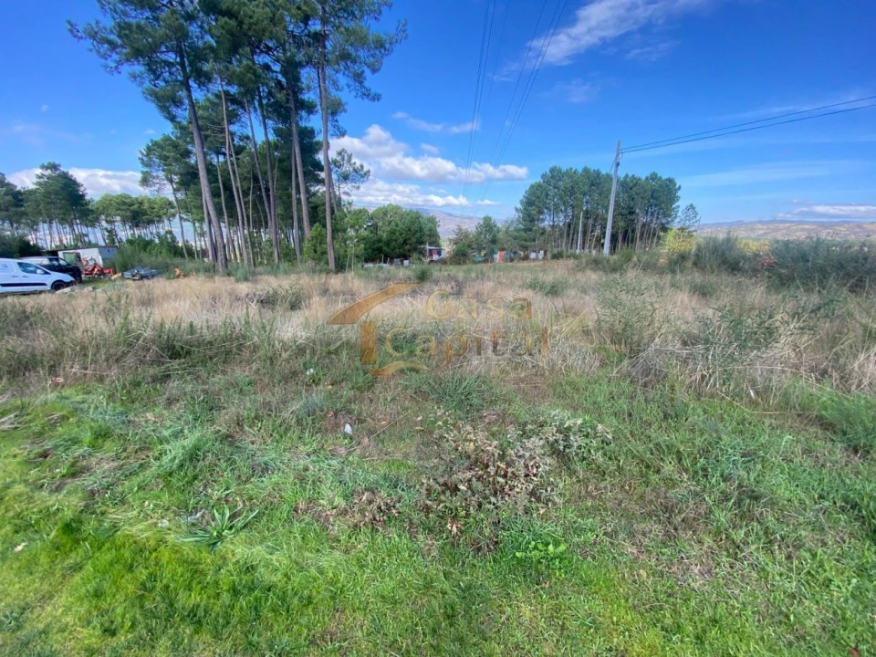 Terreno para Venda em Mouçós e Lamares Foto 4