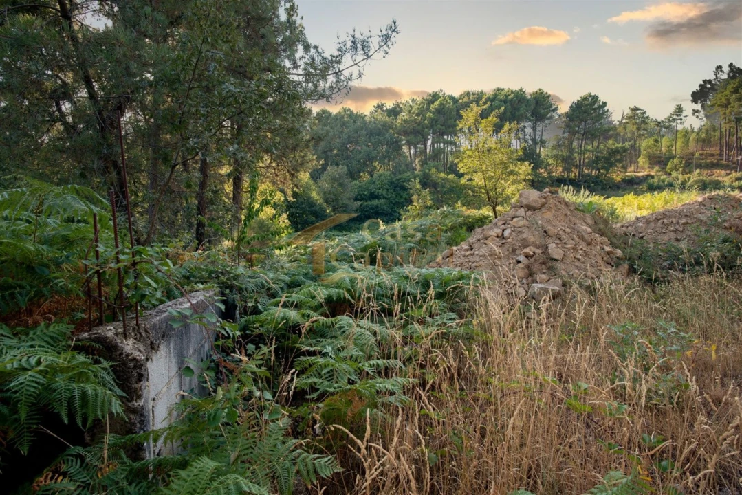 Terreno para Venda em Mouçós e Lamares Foto 2