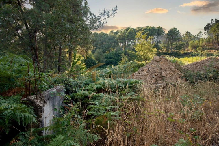 Terreno para Venda em Mouçós e Lamares Foto 2