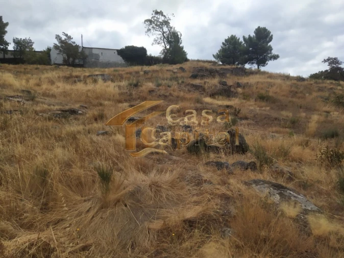 Terreno para Venda em Adoufe e Vilarinho de Samardã Foto 5