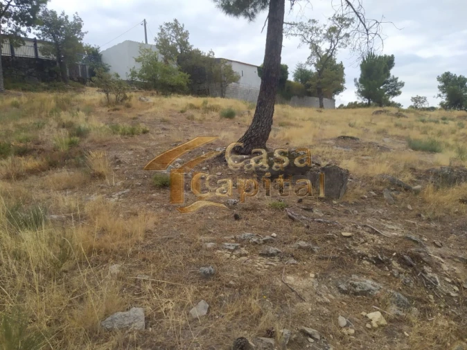 Terreno para Venda em Adoufe e Vilarinho de Samardã Foto 8