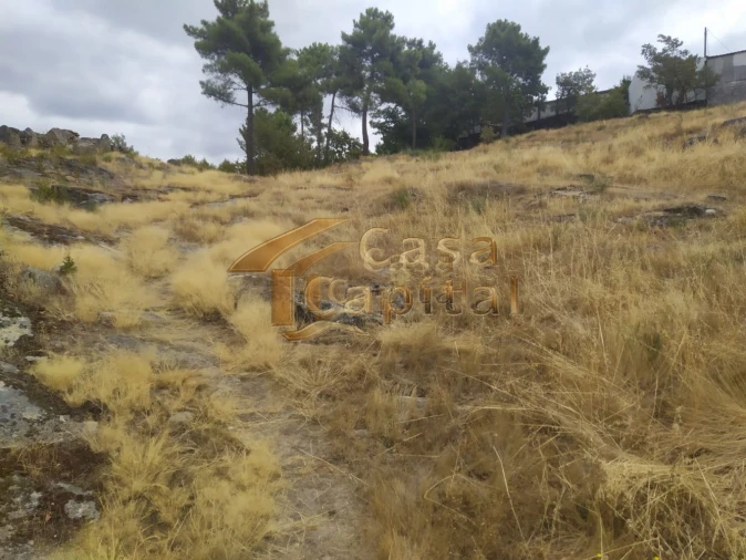 Terreno para Venda em Adoufe e Vilarinho de Samardã Foto 6