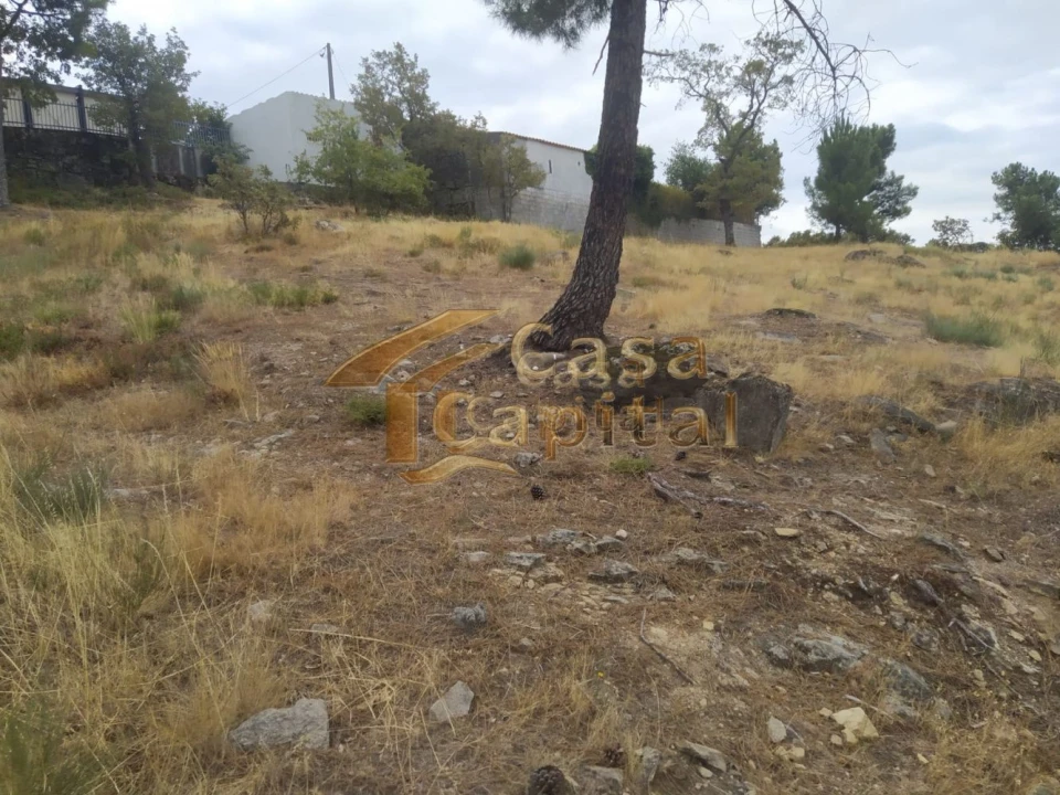 Terreno para Venda em Adoufe e Vilarinho de Samardã Foto 8