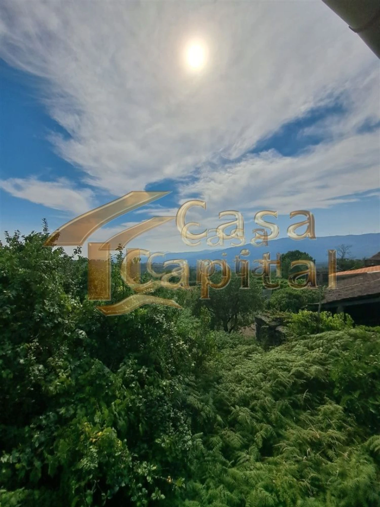 Moradia T4 para Venda em São Tomé do Castelo e Justes Foto 29