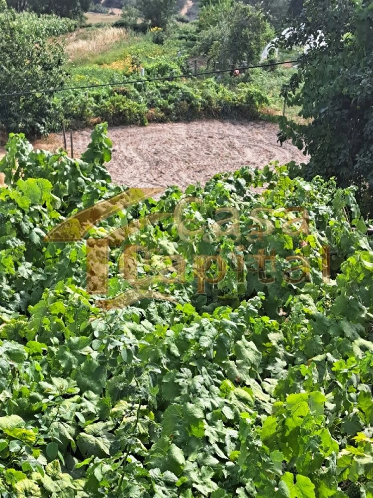 Moradia T4 para Venda em São Tomé do Castelo e Justes Foto 58