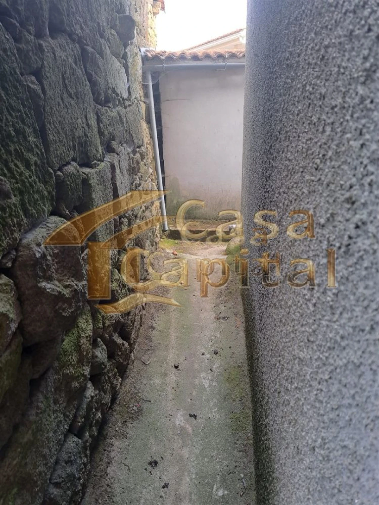 Moradia T4 para Venda em São Tomé do Castelo e Justes Foto 37