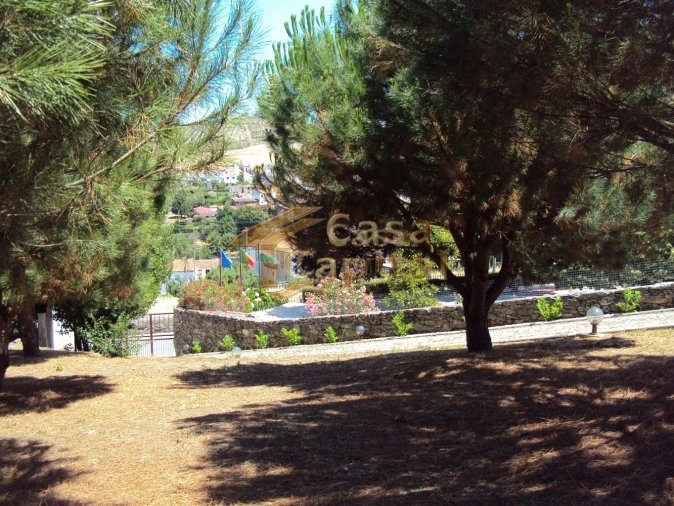 Quinta T10 para Venda em Ervedosa do Douro Foto 24