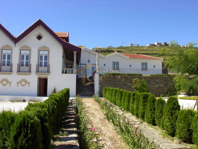 Quinta T10 para Venda em Ervedosa do Douro Foto 28