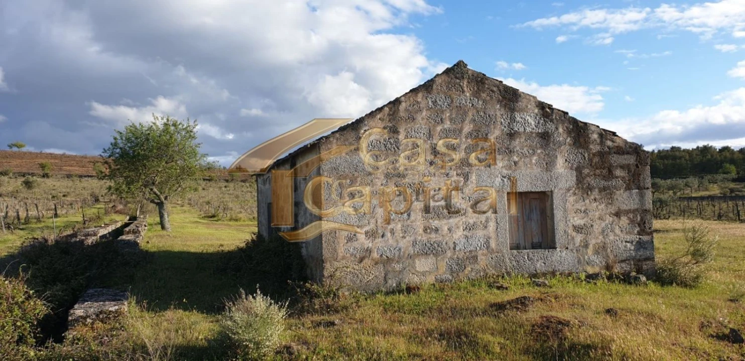 Quinta T0 para Venda em Touça Foto 16