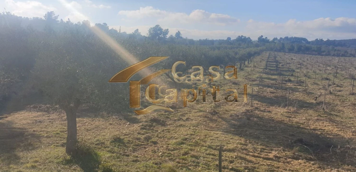 Quinta T0 para Venda em Touça Foto 23