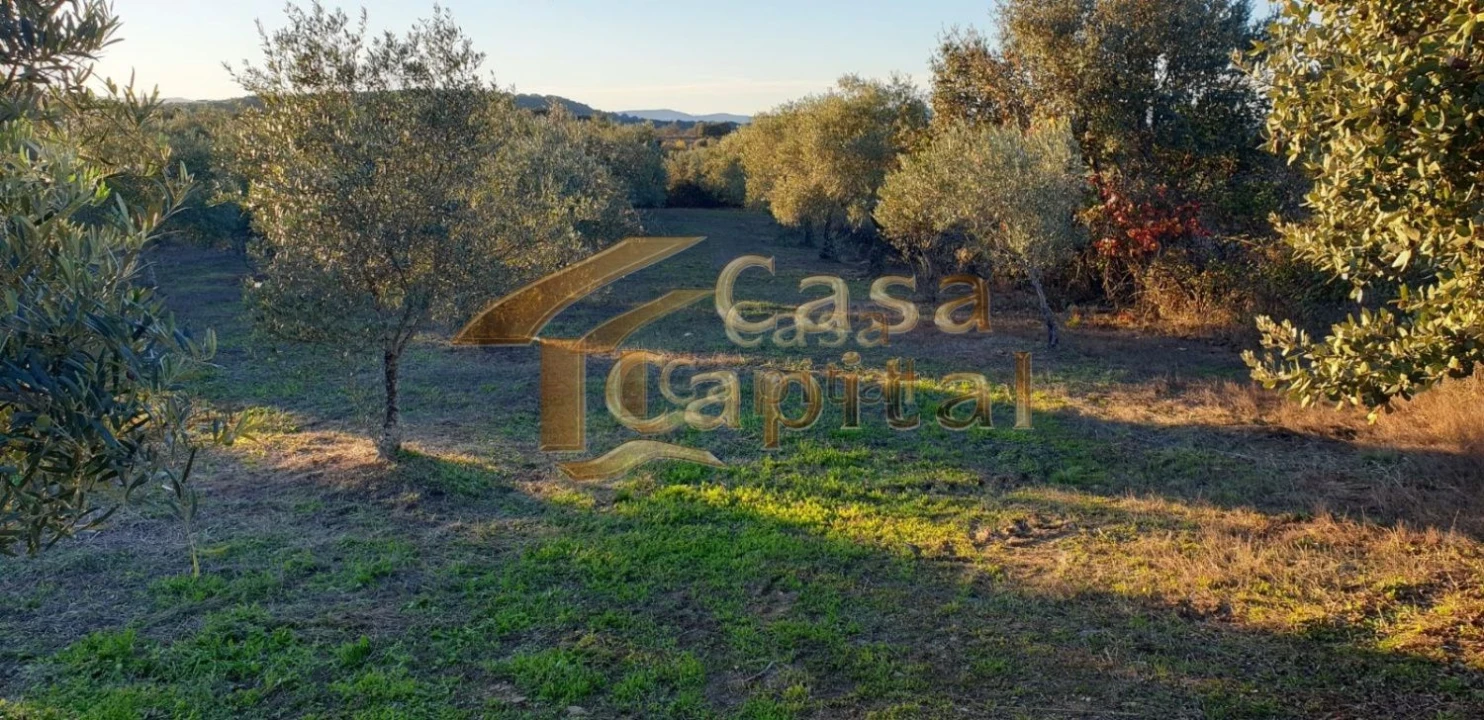 Quinta T0 para Venda em Touça Foto 19