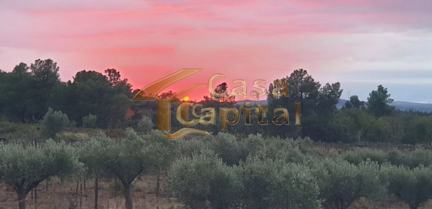 Quinta T0 para Venda em Touça Foto 17