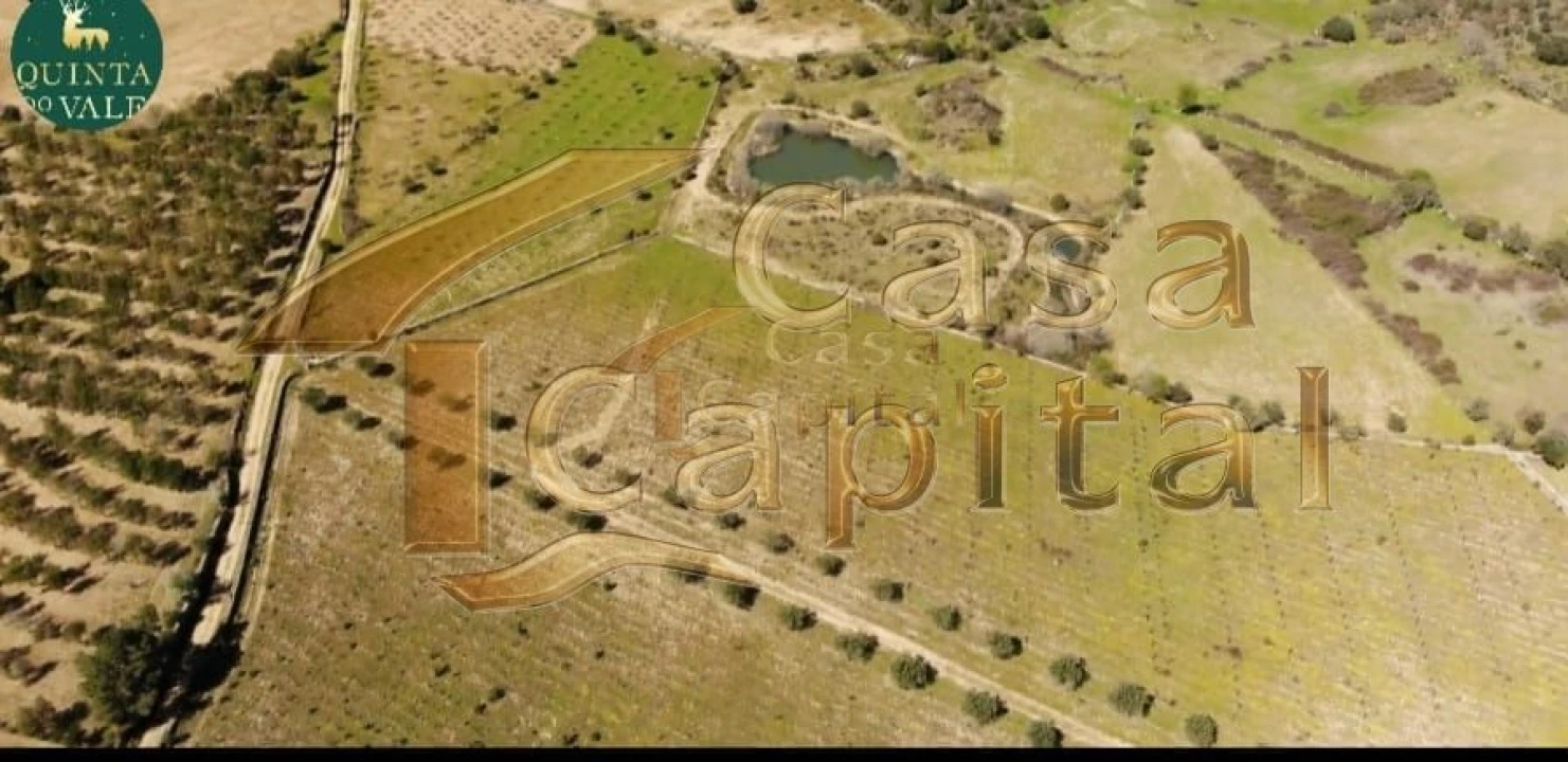 Quinta T0 para Venda em Touça Foto 13
