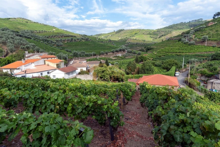 Moradia T3 para Venda em Abaças Foto 17