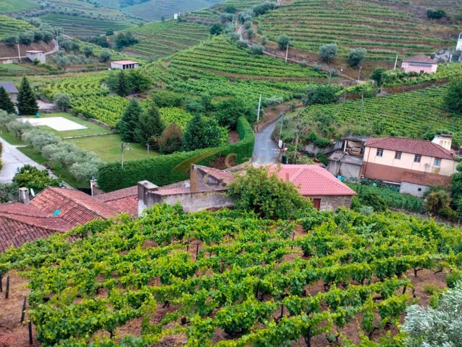 Moradia T3 para Venda em Abaças Foto 23