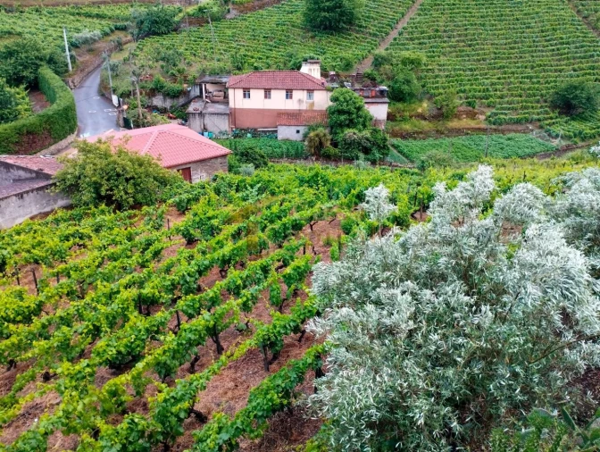 Moradia T3 para Venda em Abaças Foto 22