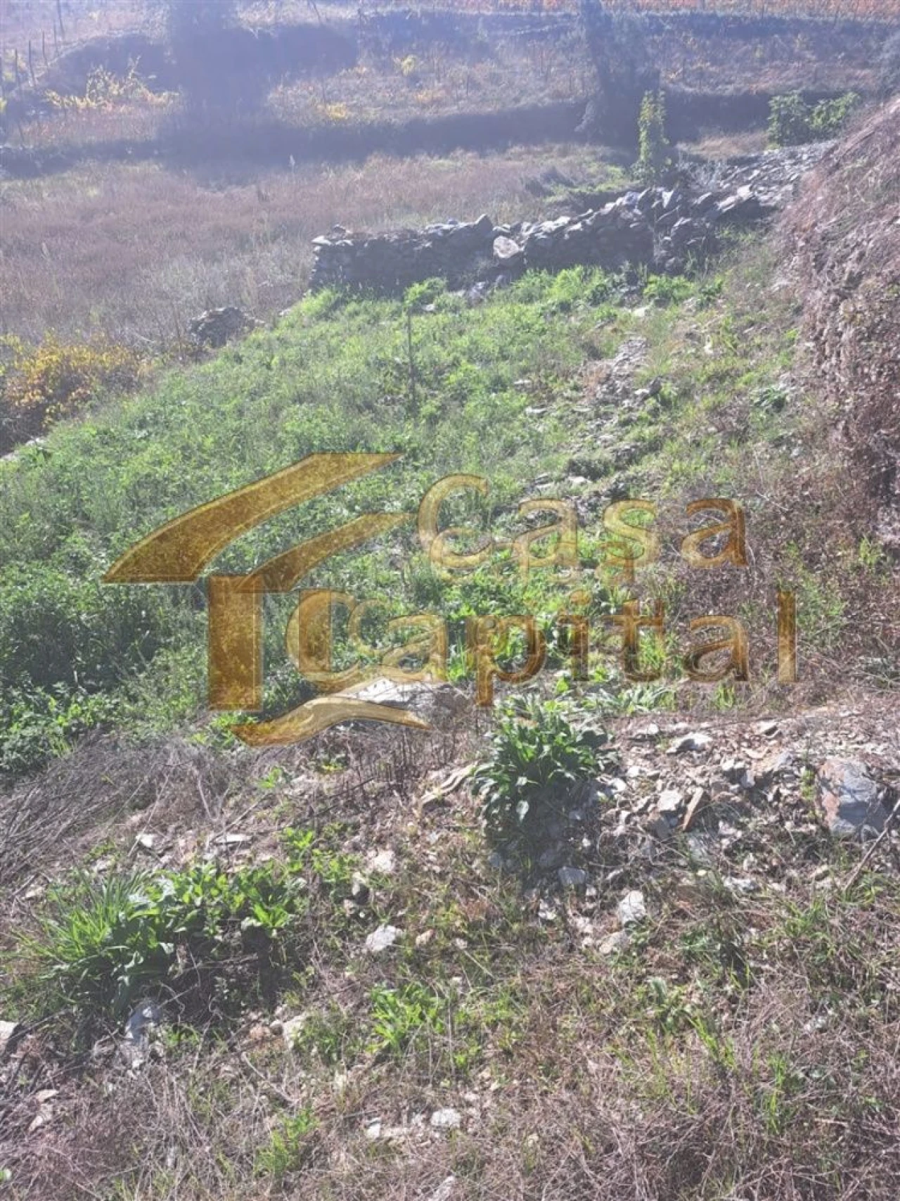 Quinta T0 para Venda em Andrães Foto 6