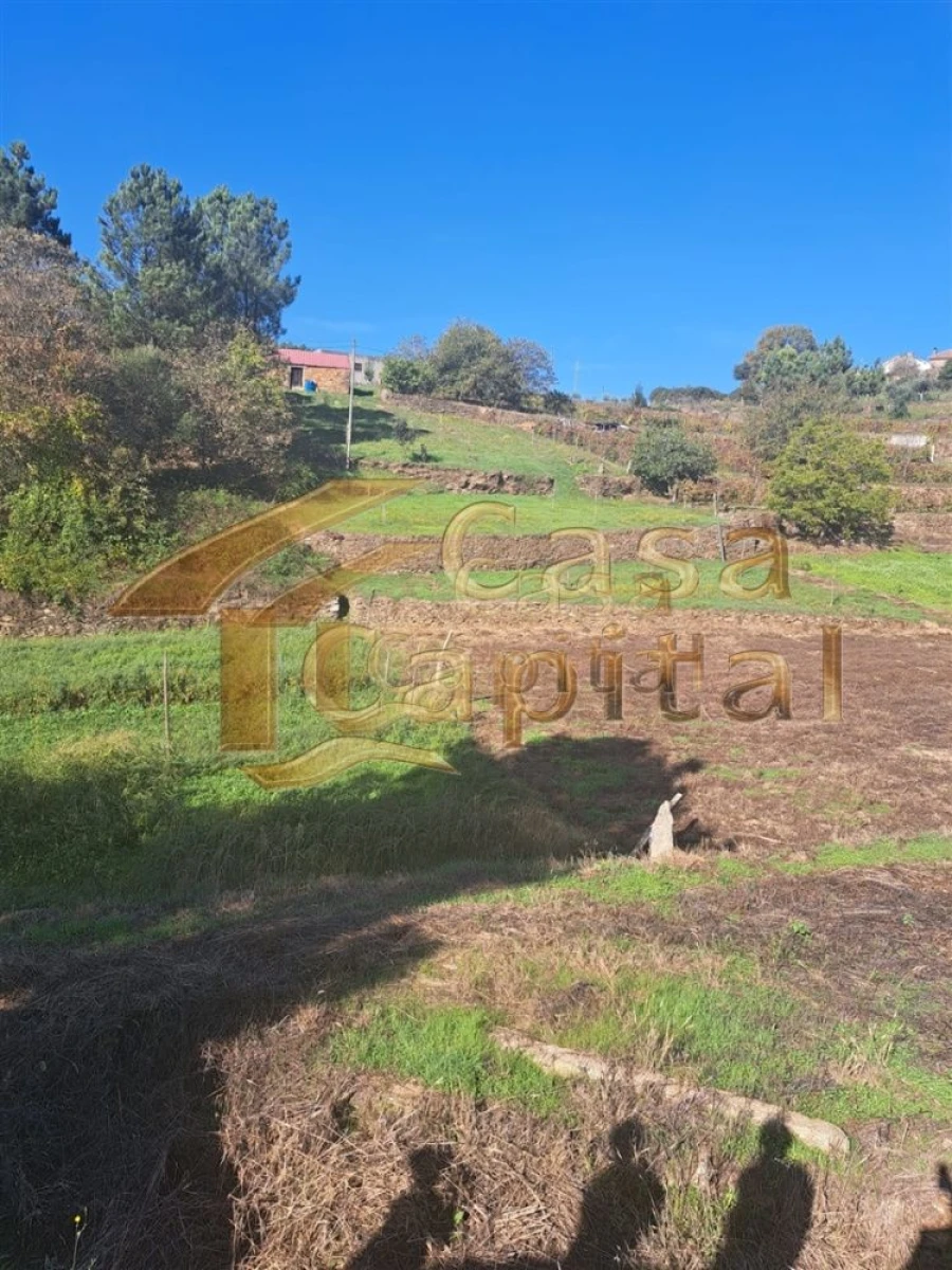 Quinta T0 para Venda em Andrães Foto 7