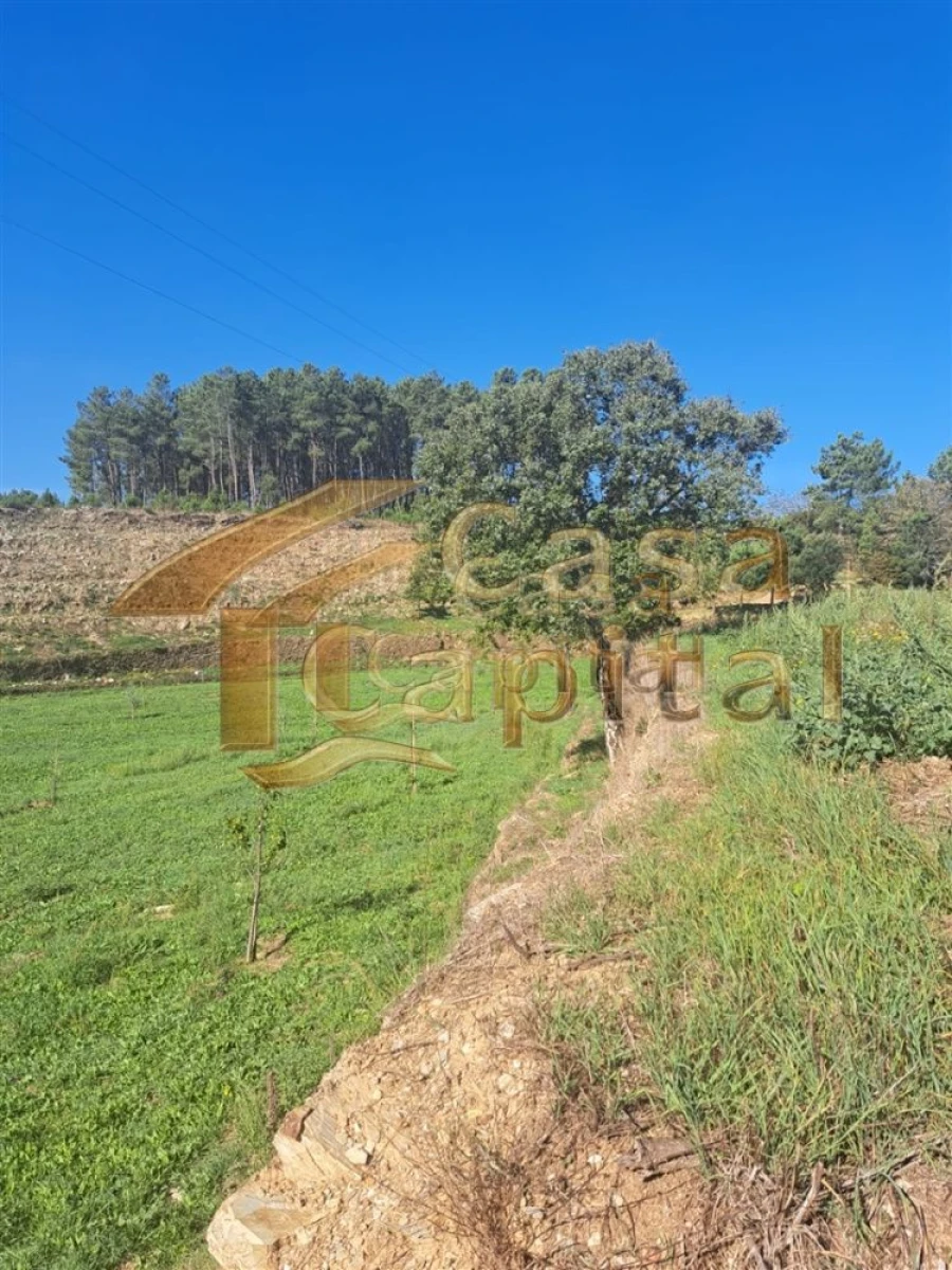 Quinta T0 para Venda em Andrães Foto 3