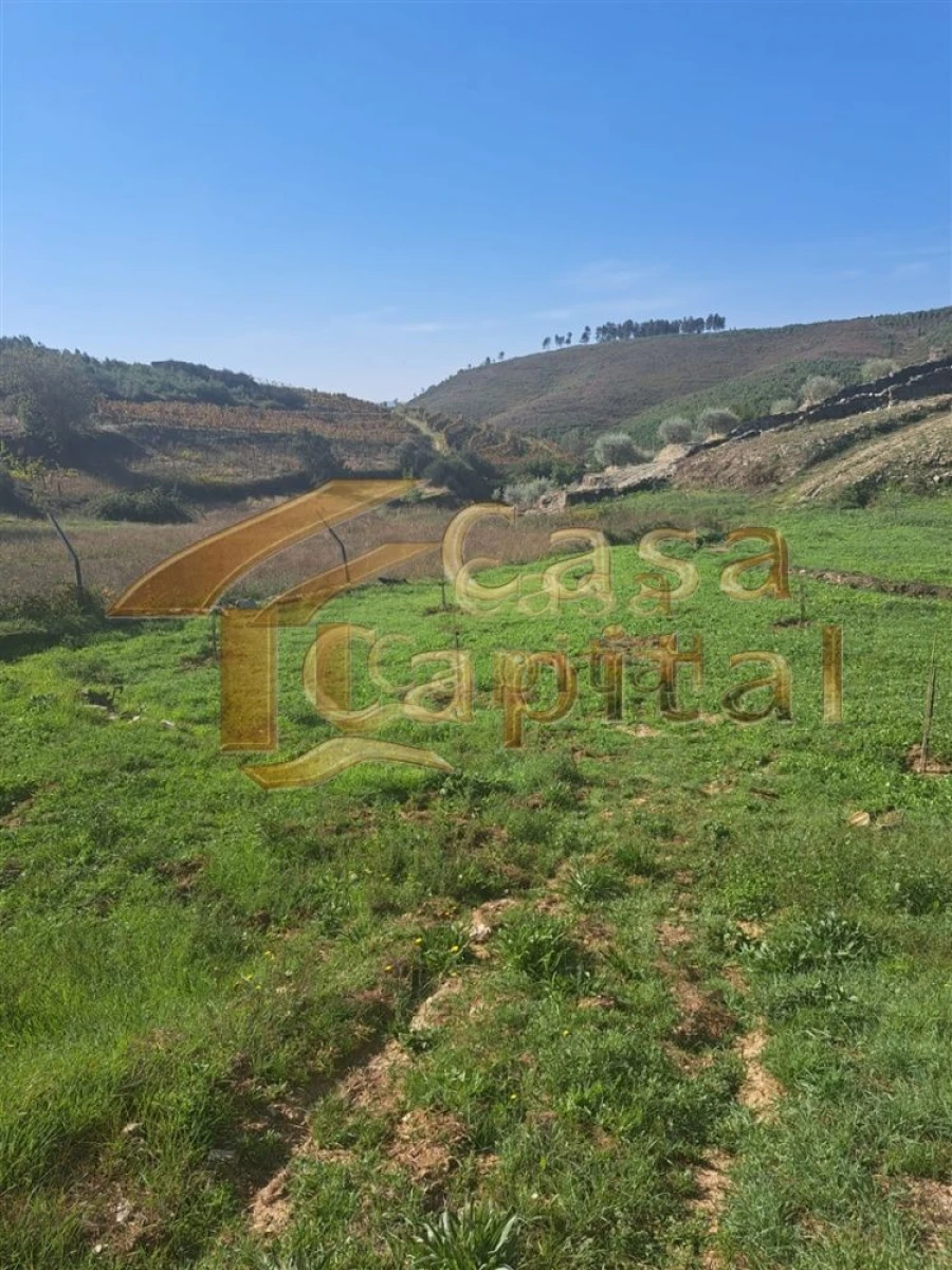 Quinta T0 para Venda em Andrães Foto 28