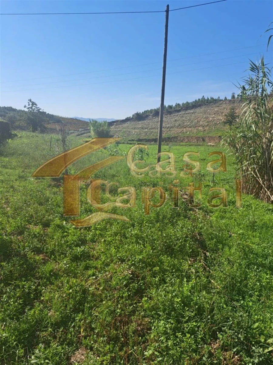 Quinta T0 para Venda em Andrães Foto 32