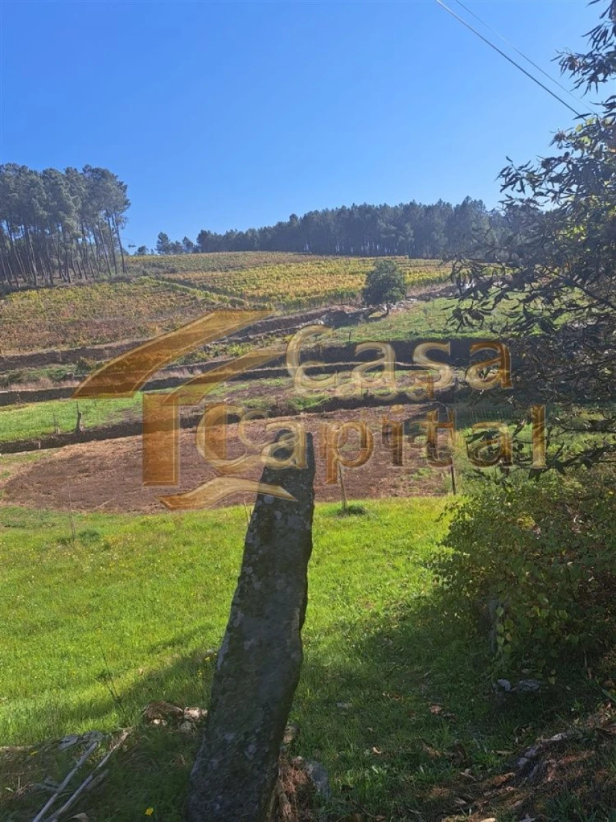 Quinta T0 para Venda em Andrães Foto 35