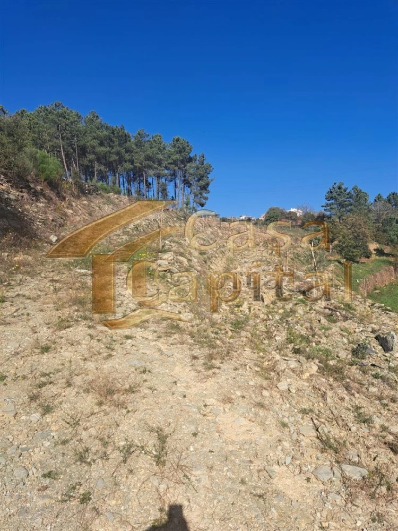 Quinta T0 para Venda em Andrães Foto 24