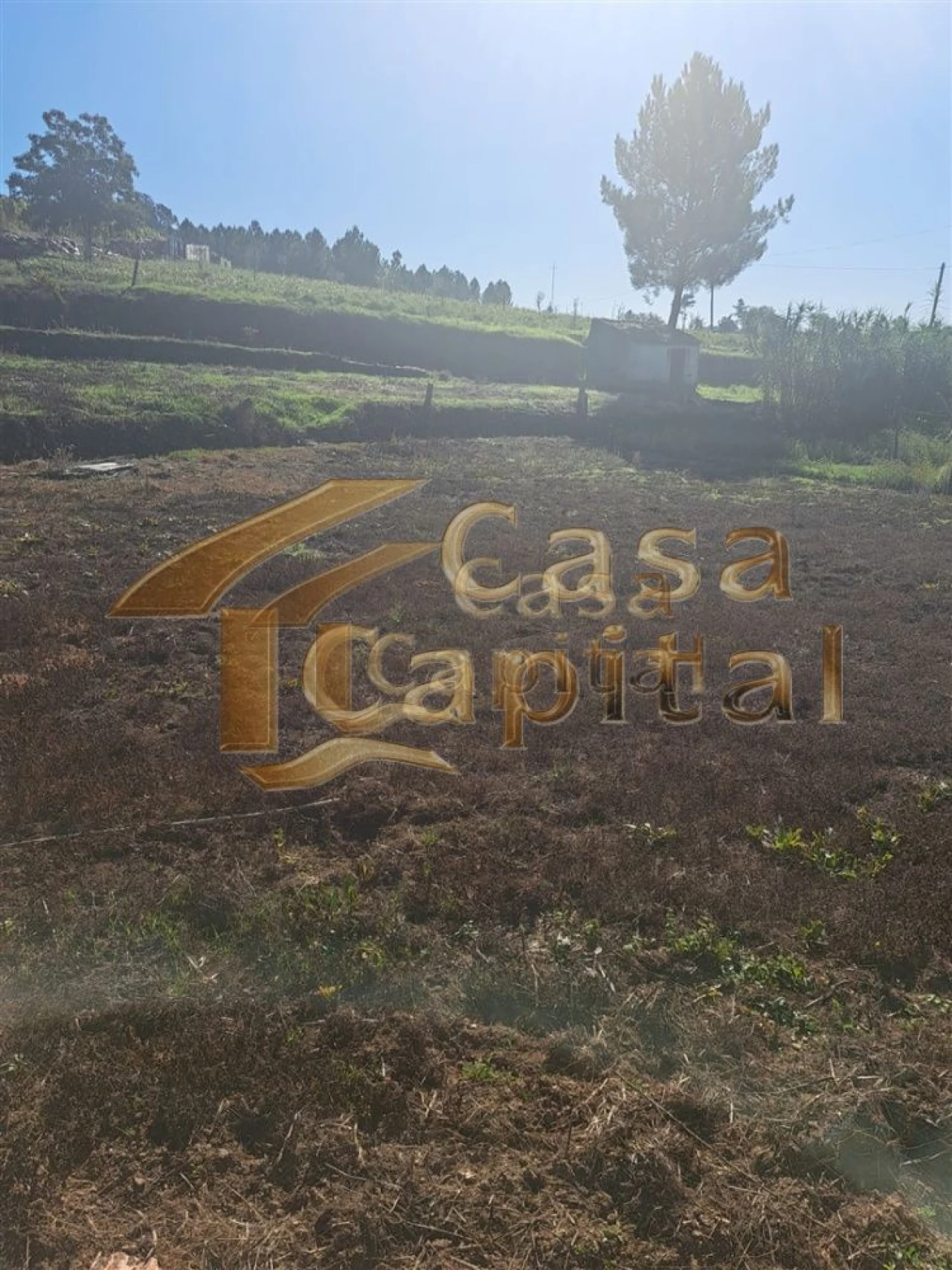 Quinta T0 para Venda em Andrães Foto 12