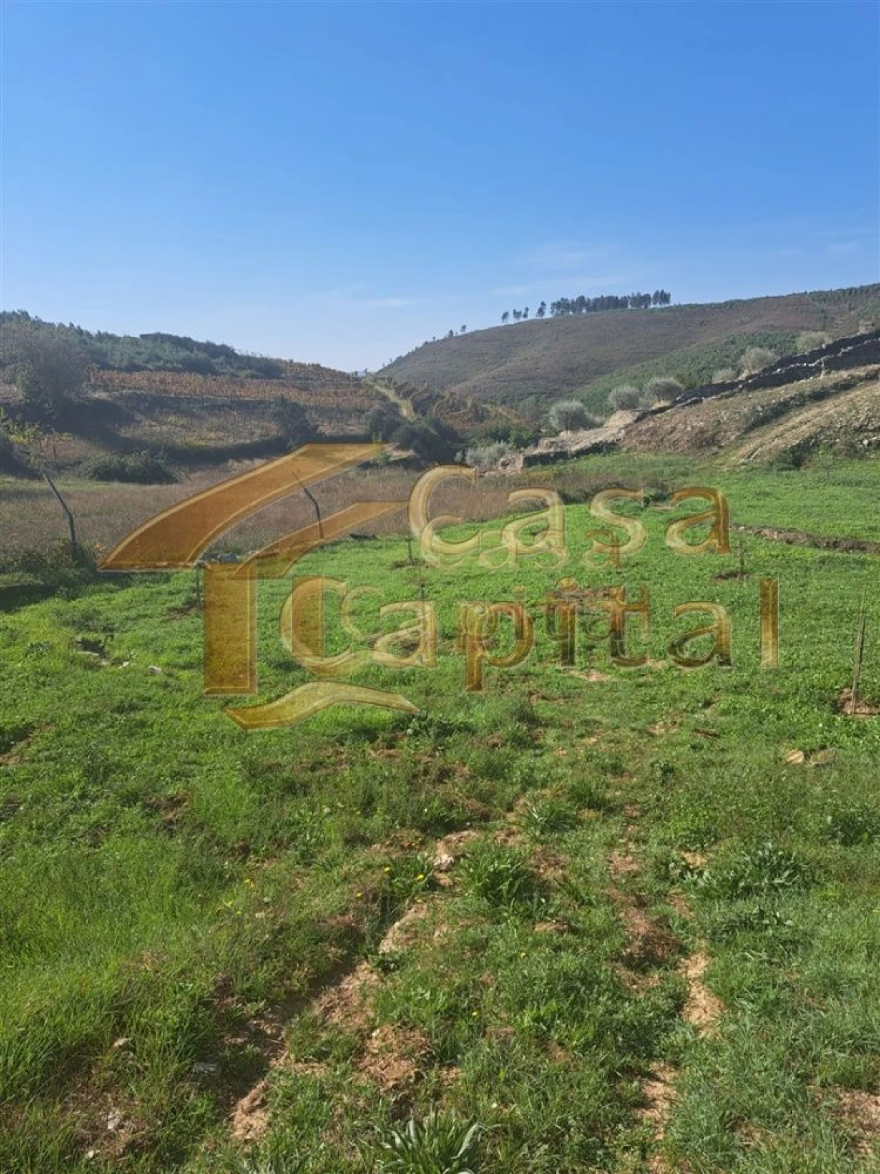 Quinta T0 para Venda em Andrães Foto 28