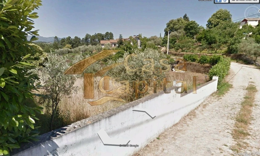 Terreno para Venda em Folhadela Foto 3