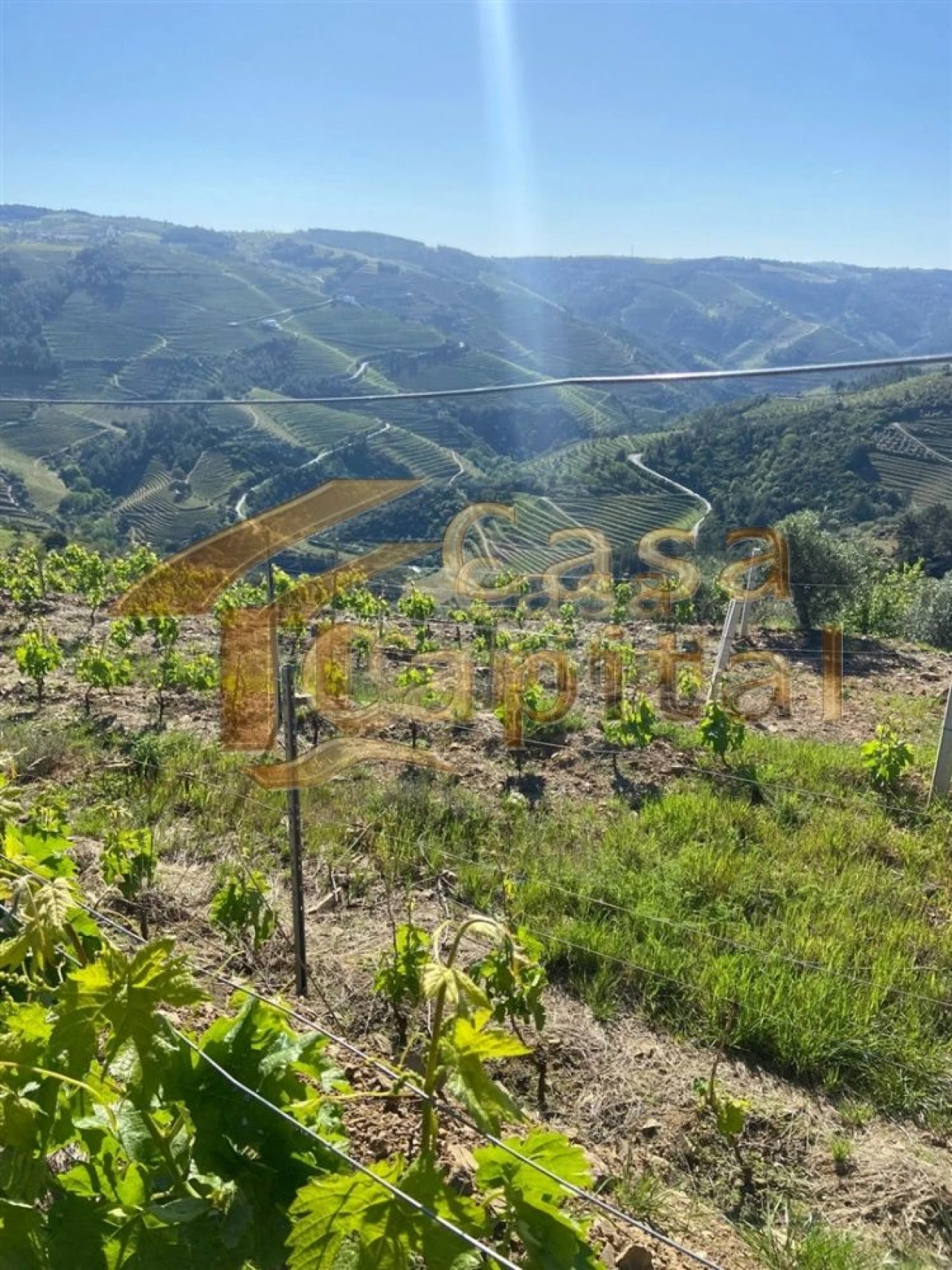 Quinta T0 para Venda em Sabrosa Foto 2