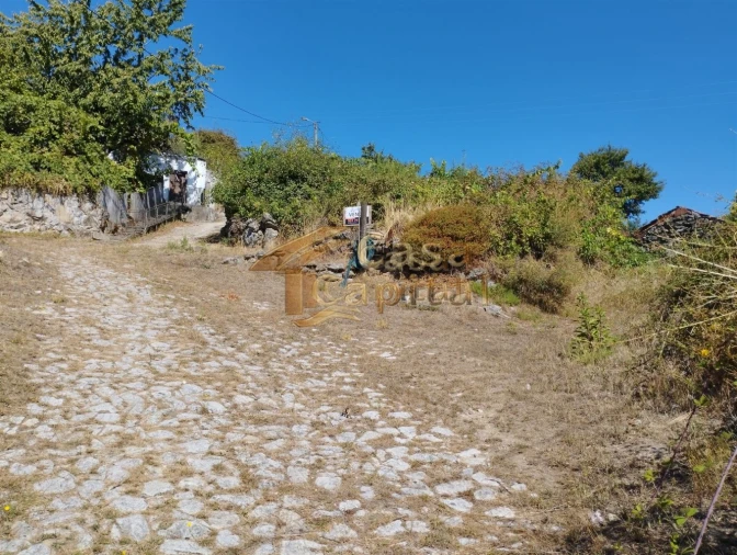Terreno para Venda em Adoufe e Vilarinho de Samardã Foto 6