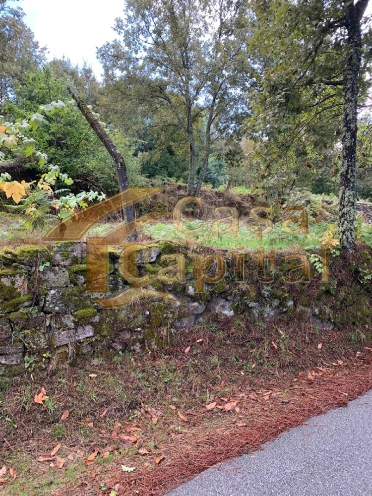 Terreno para Venda em São Tomé do Castelo e Justes Foto 4