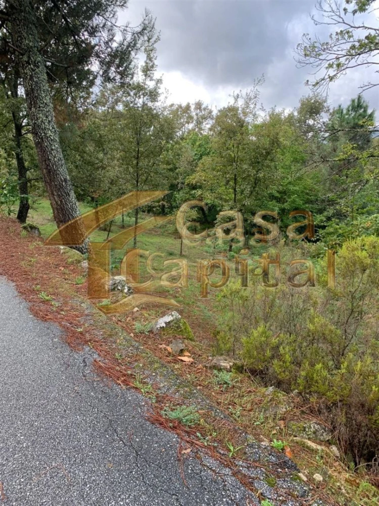 Terreno para Venda em São Tomé do Castelo e Justes Foto 3