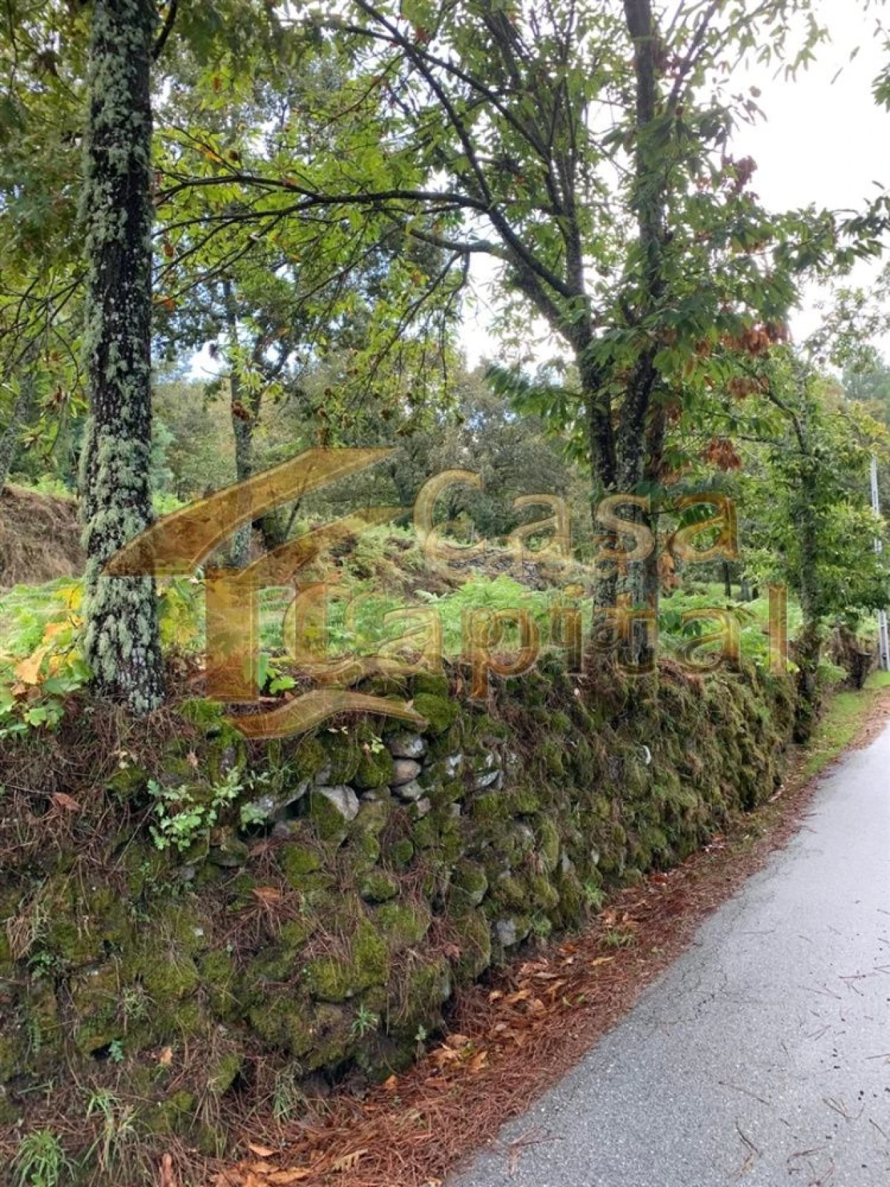 Terreno para Venda em São Tomé do Castelo e Justes Foto 2